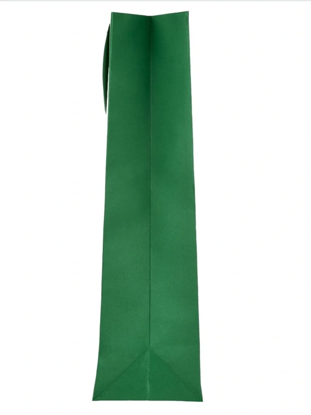 🎉 $5 Jumbo Green Gift Bag with Ribbon Handles